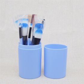 12 Pieces Of Cosmetic Brush Set, Cartridge Set, Cosmetic Tools (Color: Blue)