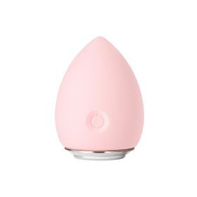 Electronic Cleansing Egg Electric Makeup Egg Wet Dry Makeup Egg (Color: Pink)