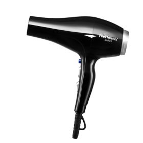 Hair Dryer Hair Stylist Special High Power Mute 2400W (Option: Black-220V US)