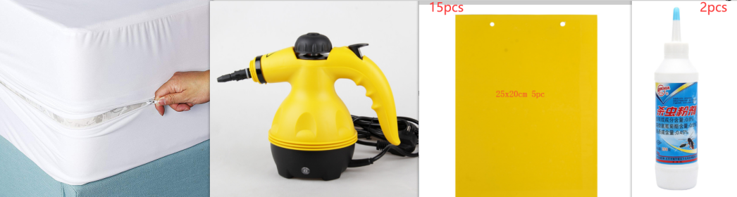 Steam cleaner (Option: Set)