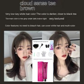 Ammonia-free Hair Color Paste Monochrome Paste Cover White Hair Multi-segment Color One-step Black Tea Gray Blue Black Hair Dye (Option: WG01 Fog Tea Brown-With tools)